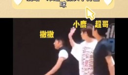 今日爆料官方最新动态,揭秘今日动态背后的惊人真相！