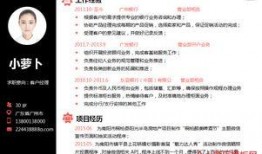 最新爆料模板下载,模板下载背后的秘密与趋势