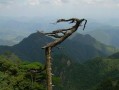 三清山旅游爆料事件最新,揭秘景区背后的真实故事与争议