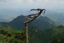 三清山旅游爆料事件最新,揭秘景区背后的真实故事与争议