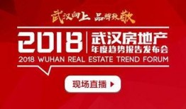 大爆料最新的,震惊内幕，揭开神秘事件的真相面纱